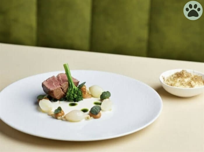 Dittisham Hideaway Nr Dartmouth Treehouses & Shepherds Lodges