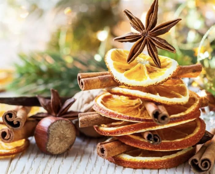 Dittisham Hideaway Nr Dartmouth Treehouses & Shepherds Lodges