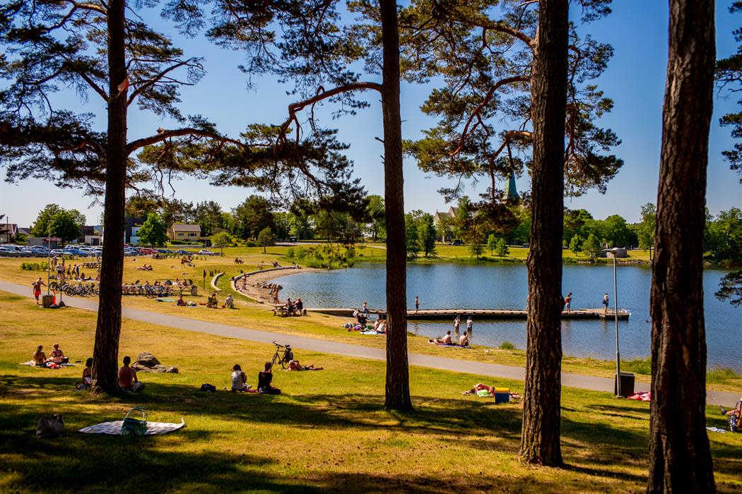 Tunevannet Badeplass Tunevannet Badeplass