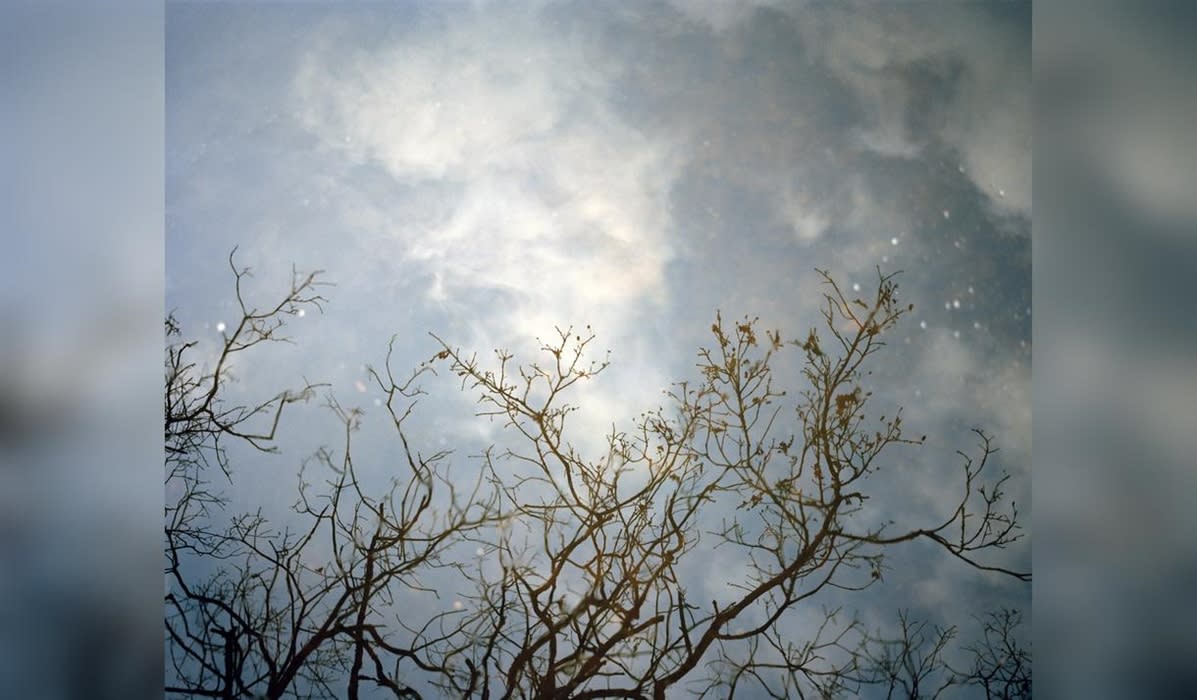 Fractured Landscapes and how we heal