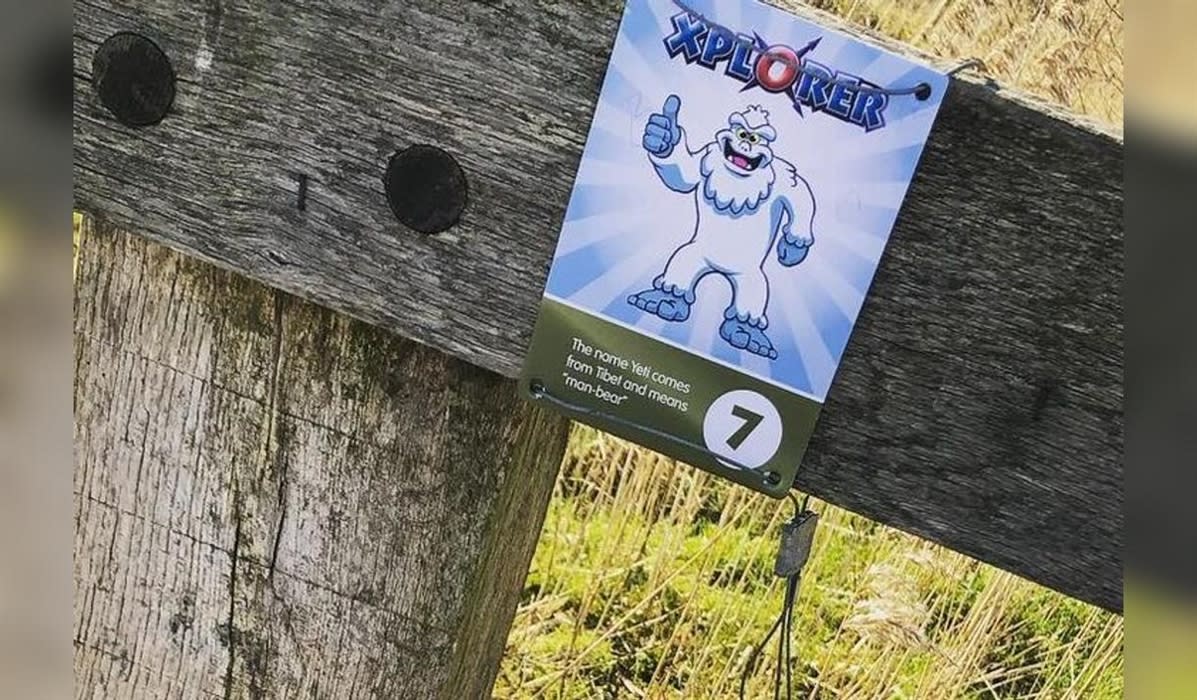 Half Term Xplorer at Mere Sands Wood