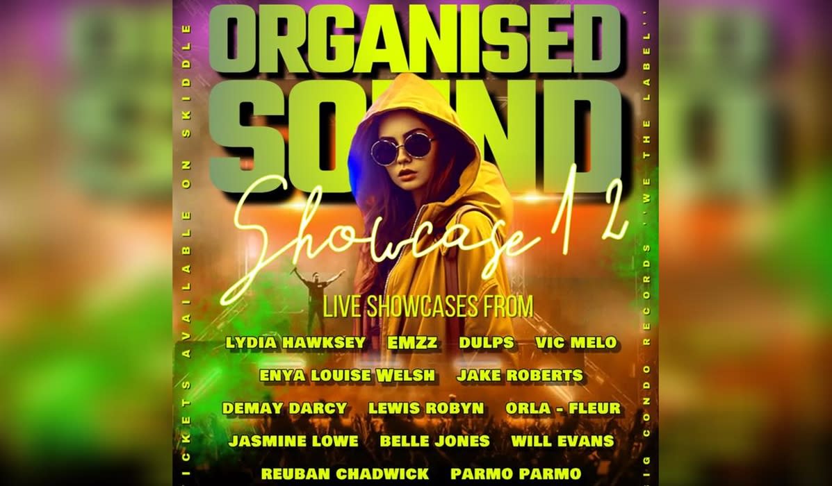 Big Condo Records Presents Organised Sound 12