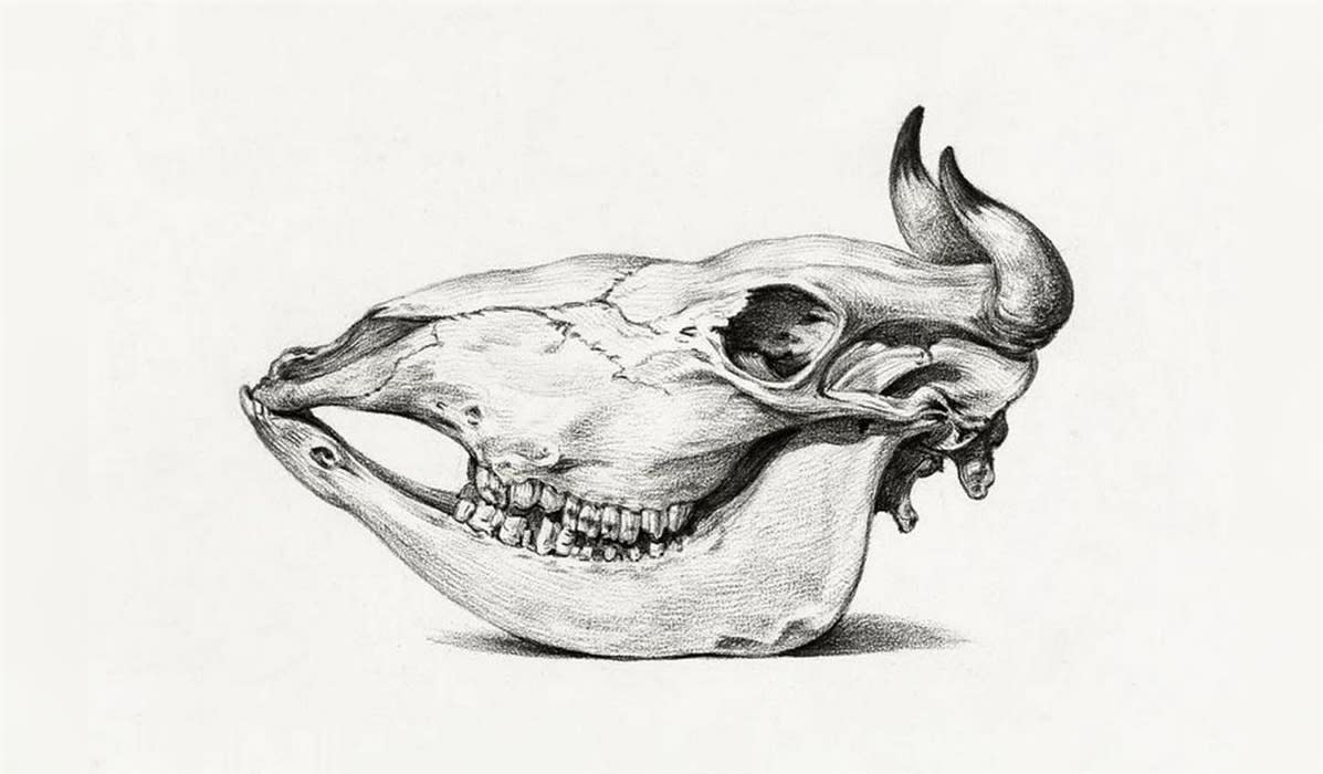 Still life drawing at World Museum