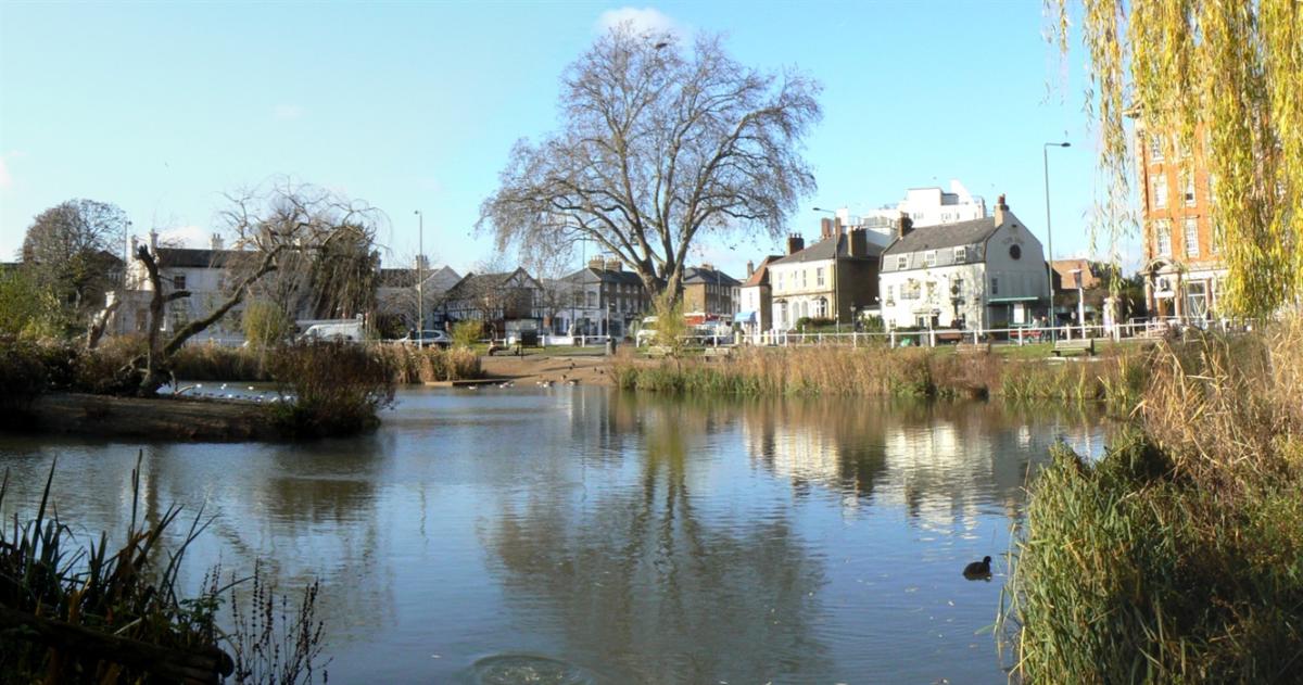 Barnes
