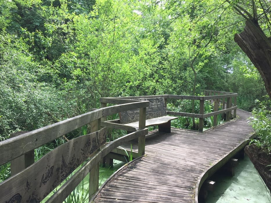 Riverside Park Nature Reserve - Visit Surrey