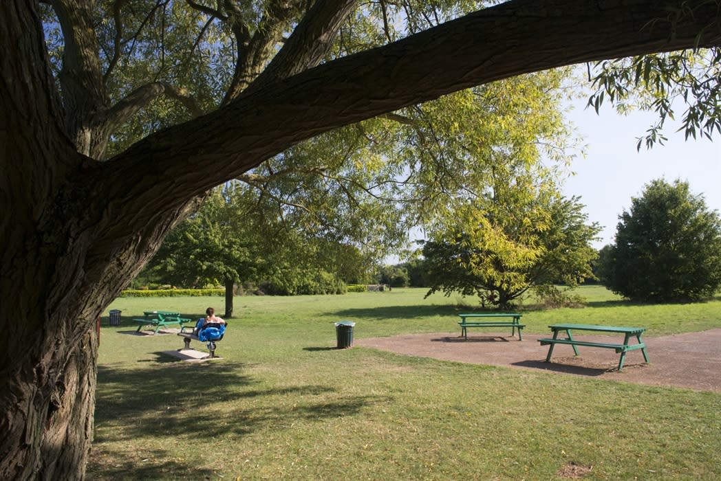 Chertsey Meads
