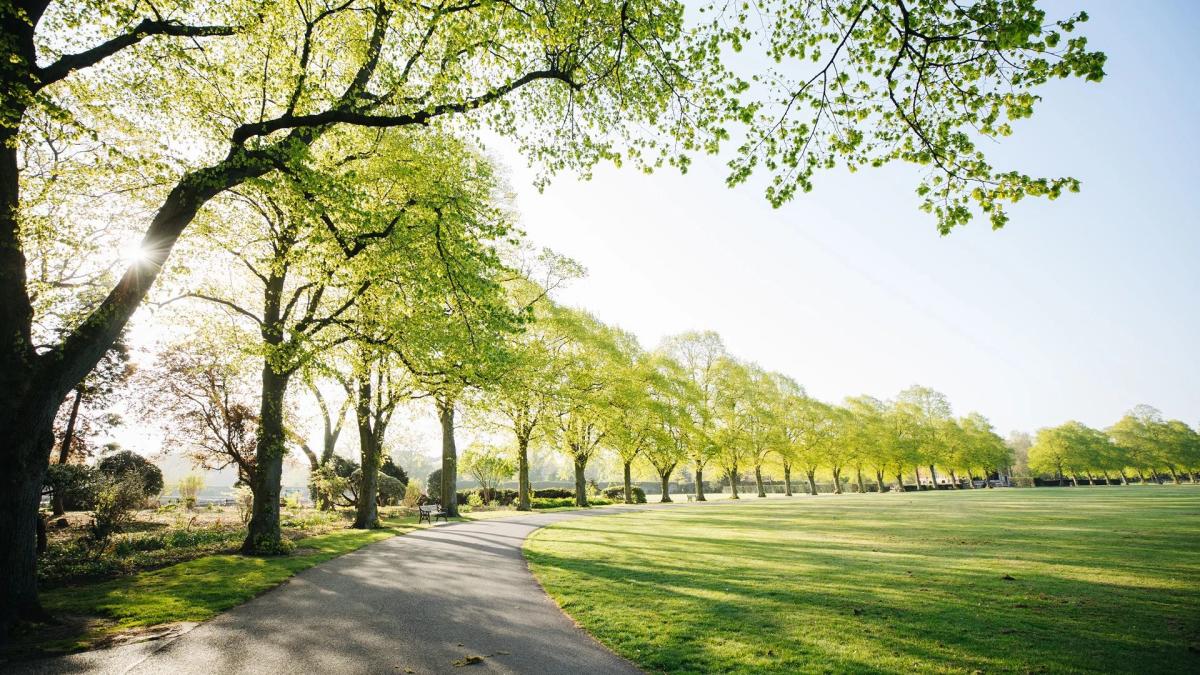 Taft Ball Field Orlando, FL 52497