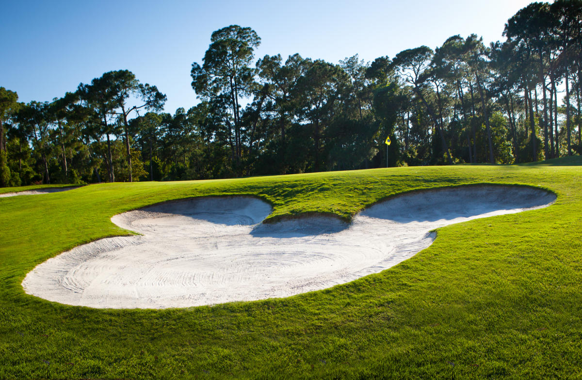 Walt Disney World Golf Lake Buena Vista FL 4051 Walt disney world golf lake buena vista fl 4051