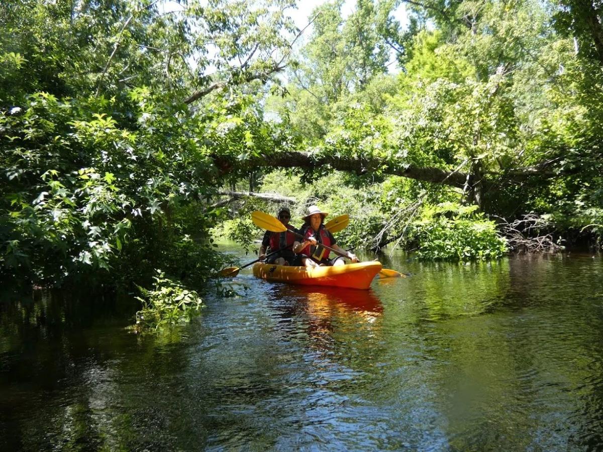Venture Outdoors | Orlando, FL | 57699
