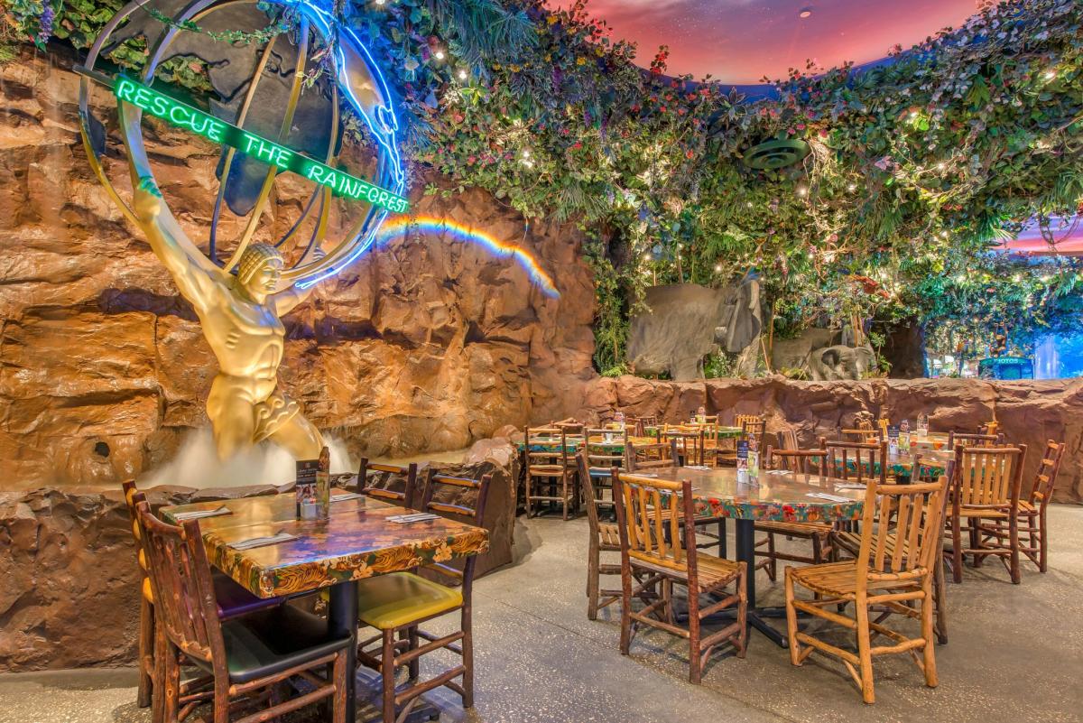 Rainforest Cafe at Disney Springs™ Lake Buena Vista, FL 50770