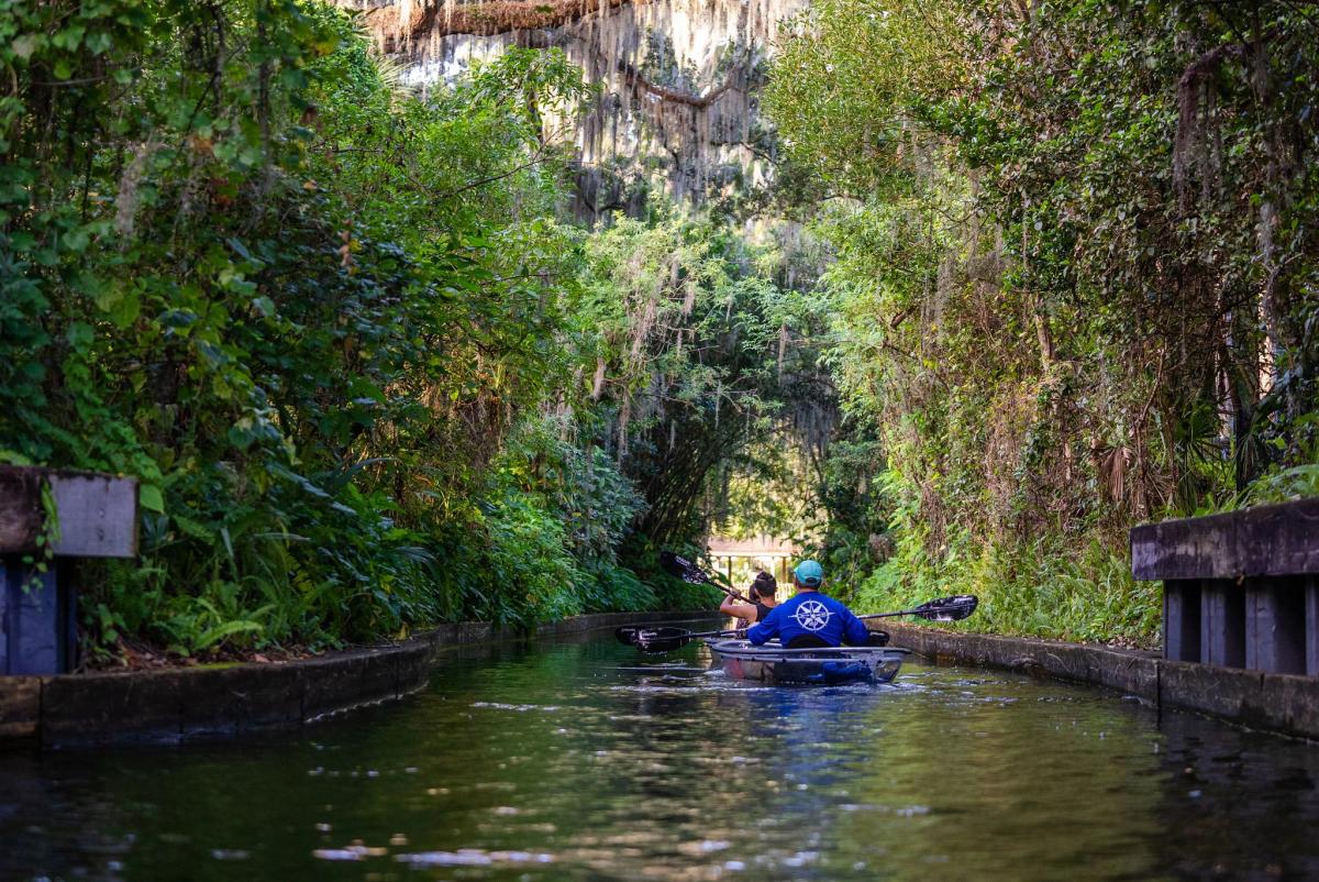 Get Up And Go Kayaking - Winter Park | Winter Park, FL | 55559 - Featured