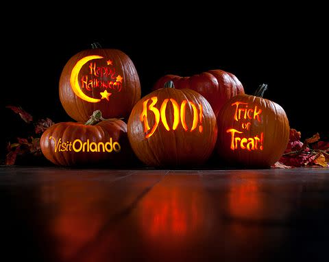 Once Upon a Halloween Orlando - Com Visit Orlando Pumpkin Crop True Keep C Q 80 Color Ffffffff U F46jg8 W 480 H 382