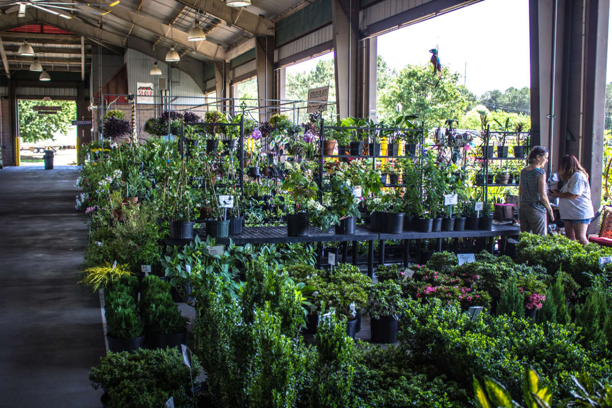 State Farmers Market, Raleigh | Raleigh, NC 27603