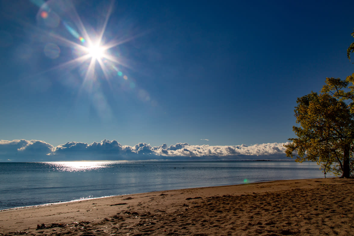 Turkey Point