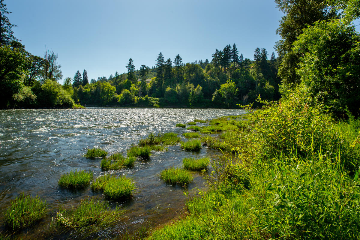 River Forks