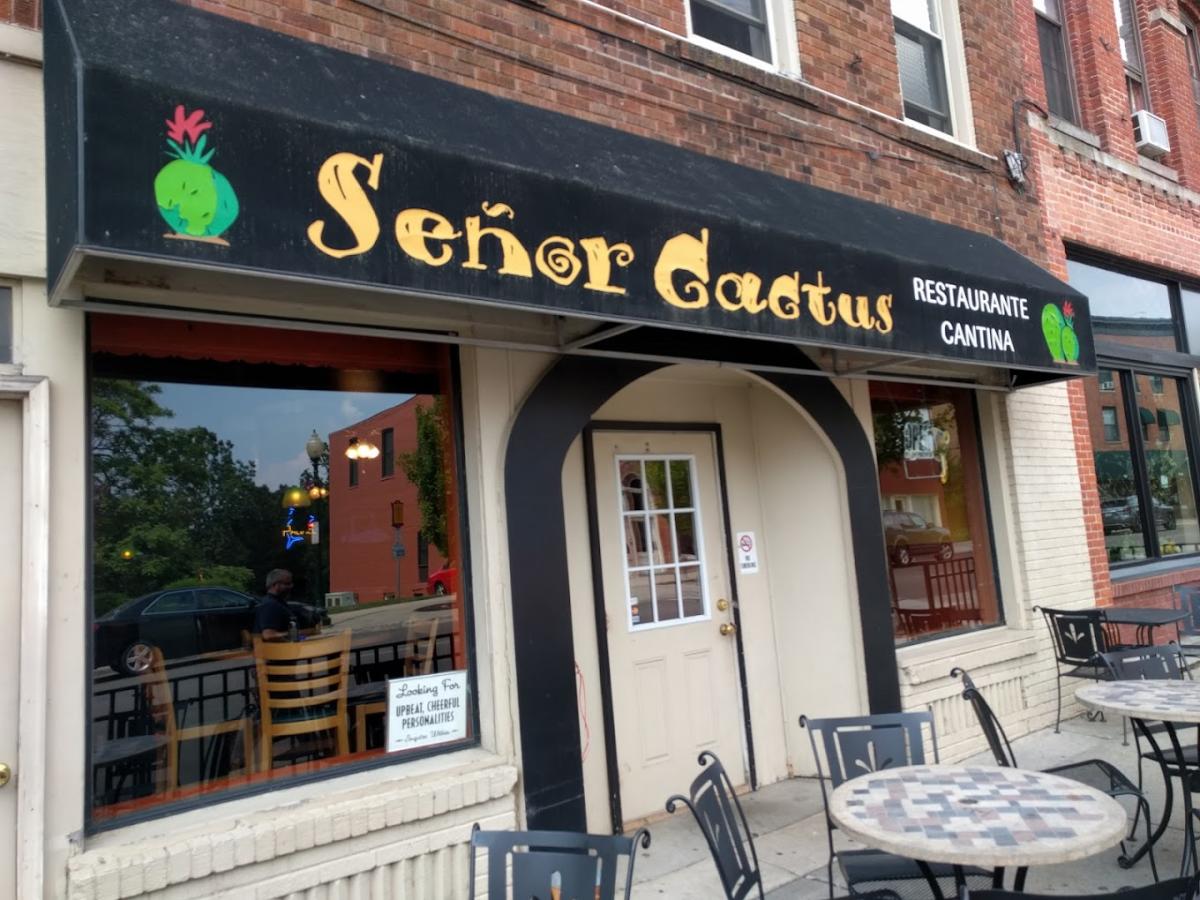 Senor Cactus