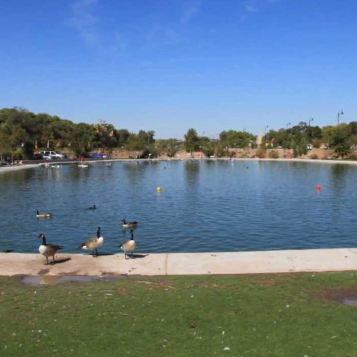Tingley Beach Abq Biopark