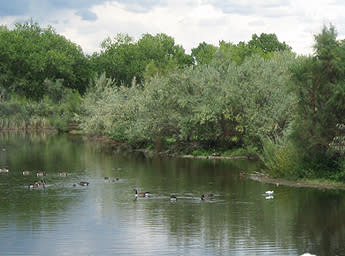 Rio Grande Nature Center State Park