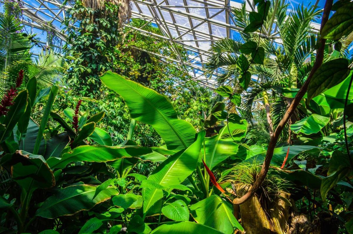 Amarillo Botanical Gardens