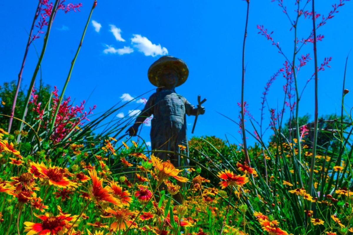 Amarillo Botanical Gardens