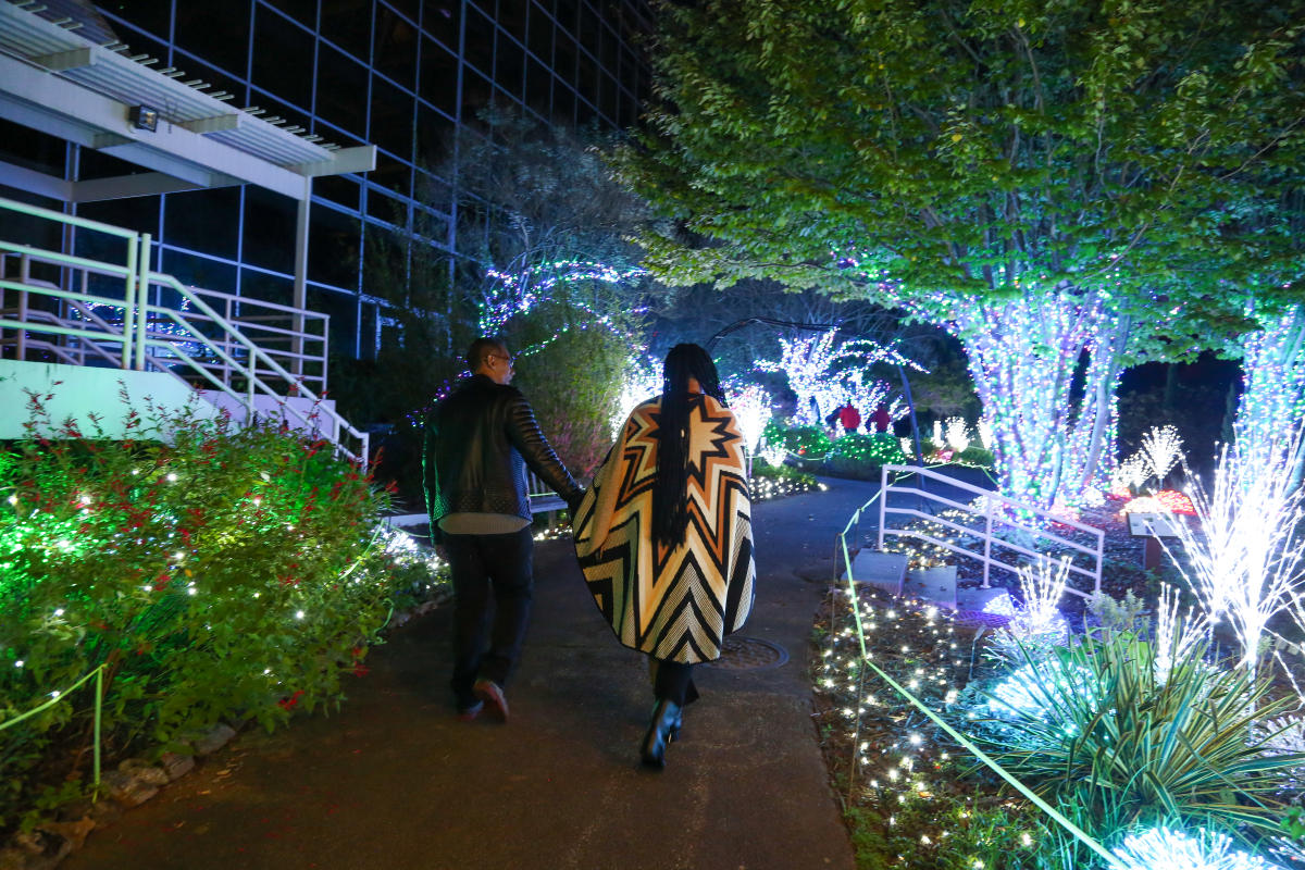 Winter WonderLights