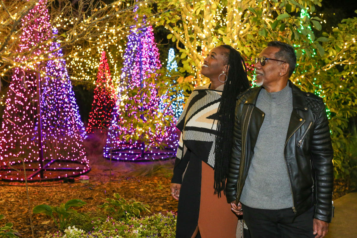 Winter WonderLights