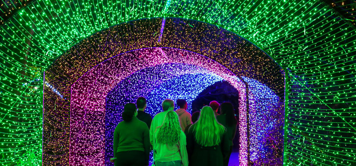 Winter WonderLights