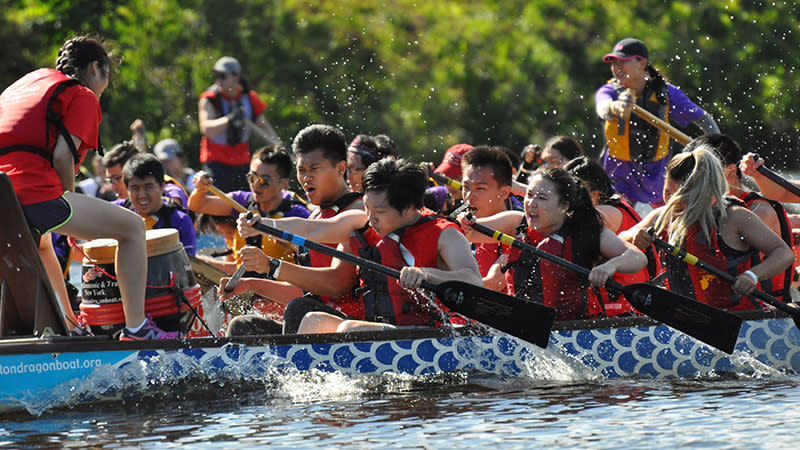 Annual Boston Hong Kong Dragon Boat Festival
