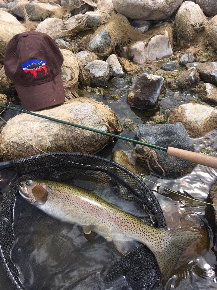 The Reef Fly Shop Alcova Wy 82620