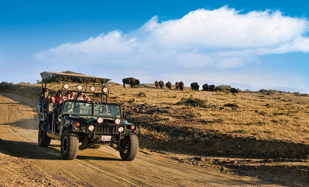 Catalina Island Company Activities & Adventures | Catalina Island