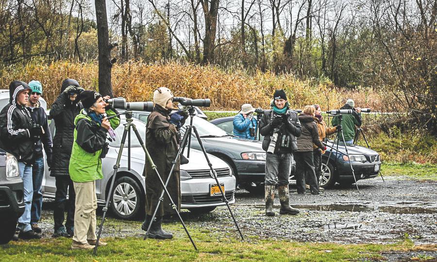 INSIDE THE FLX: Finger Lakes Birding Festival comes to Cayuga County (podcast)