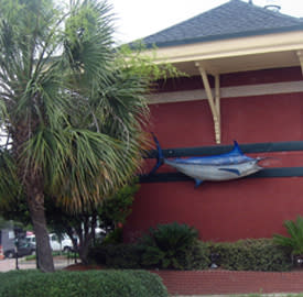 Blue Marlin | Columbia, SC 29201