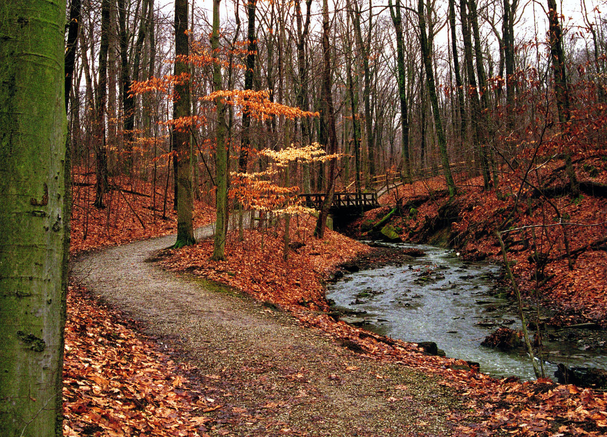 Highbanks Park Calendar Of Events 2022