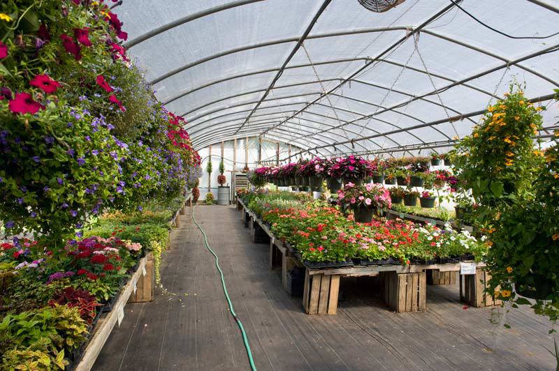 Paulus Farm Market Mechanicsburg, PA 17055