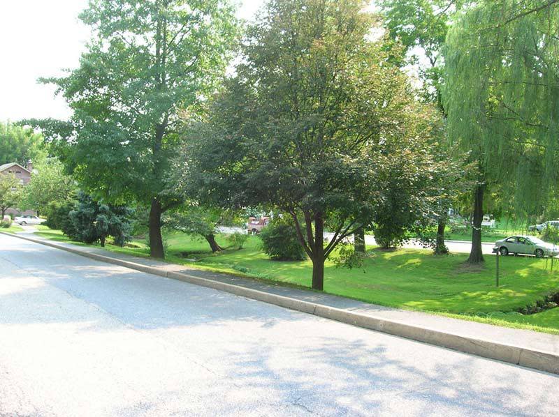 Willow Park Camp Hill, PA 17011 Willow Park Camp Hill, PA 17011