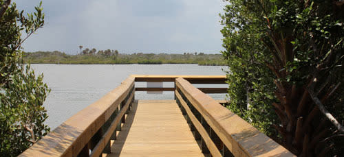 Mary Mcleod Bethune Beach Park New Smyrna Beach Fl 32168