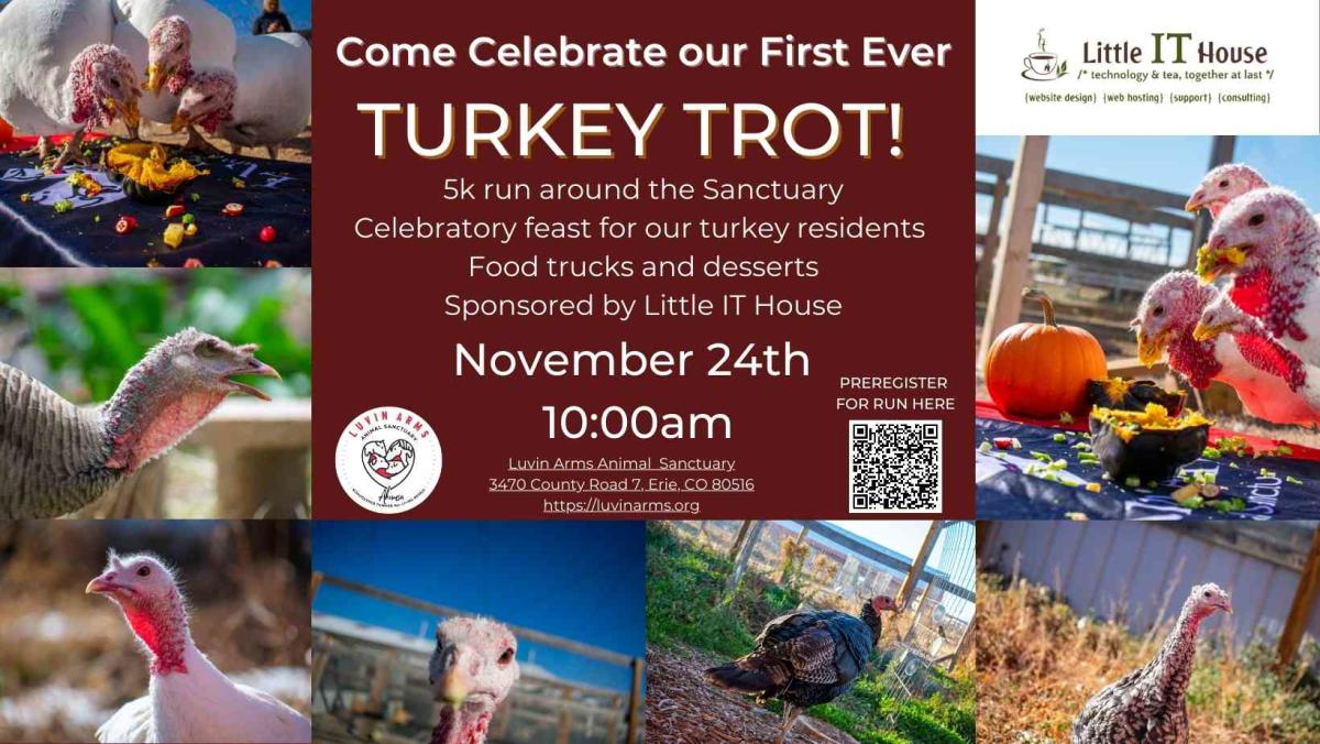 Luvin Arms' First Ever TURKEY TROT