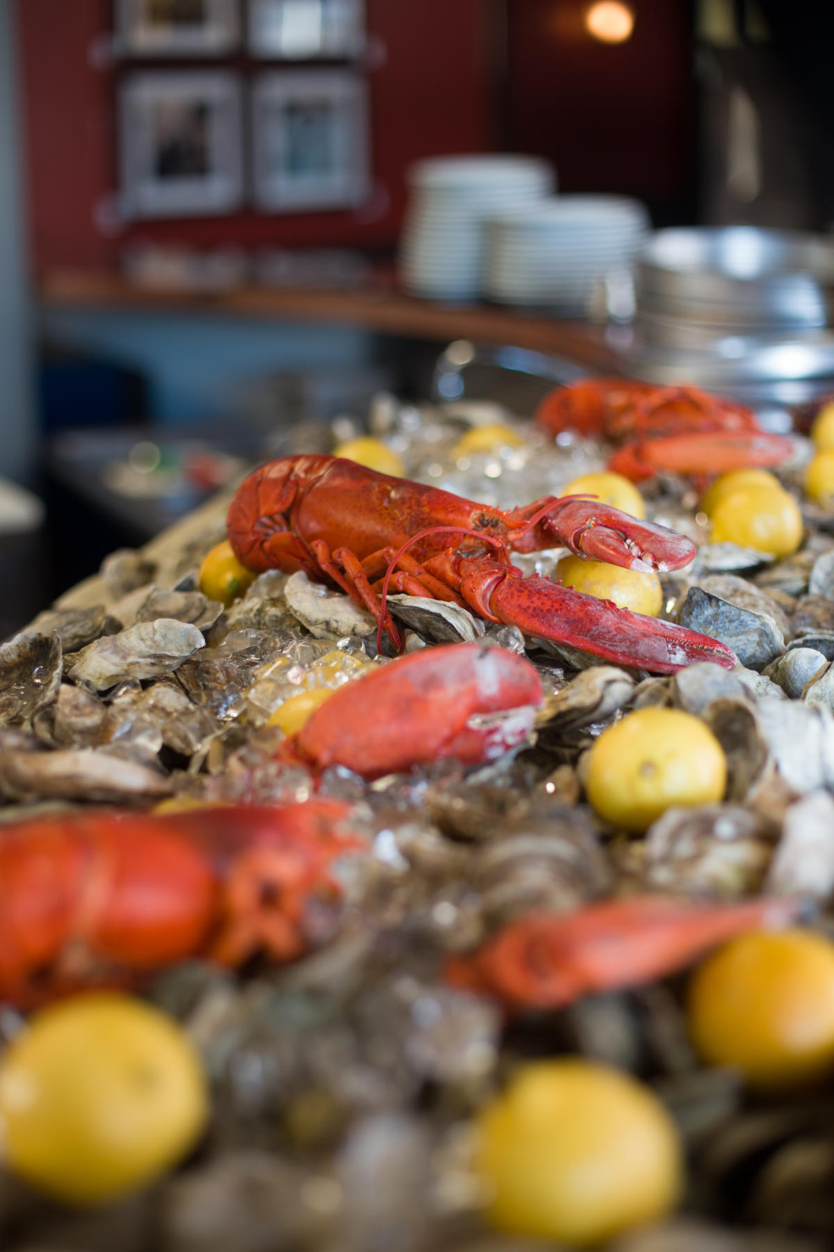 3rd & Ferry Fish Market Easton, PA 18042