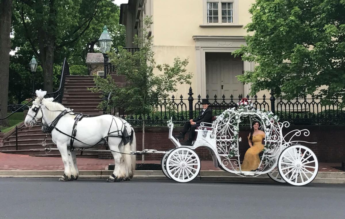 Bethlehem Carriage Company Bethlehem, PA 18018