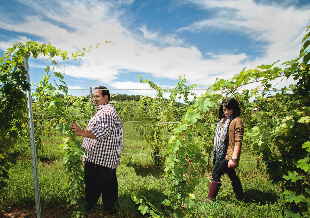 Folino Estate Kutztown, PA 19530