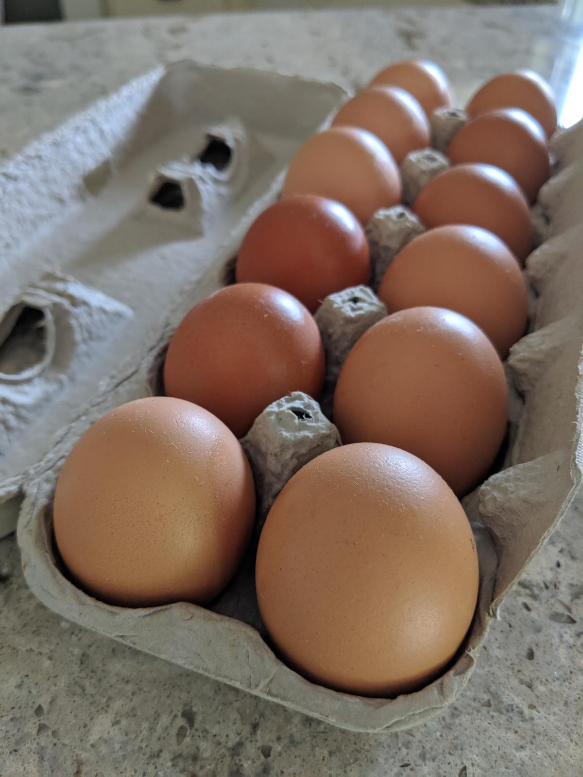 Klein Farms Dairy & Creamery Easton, PA 18040