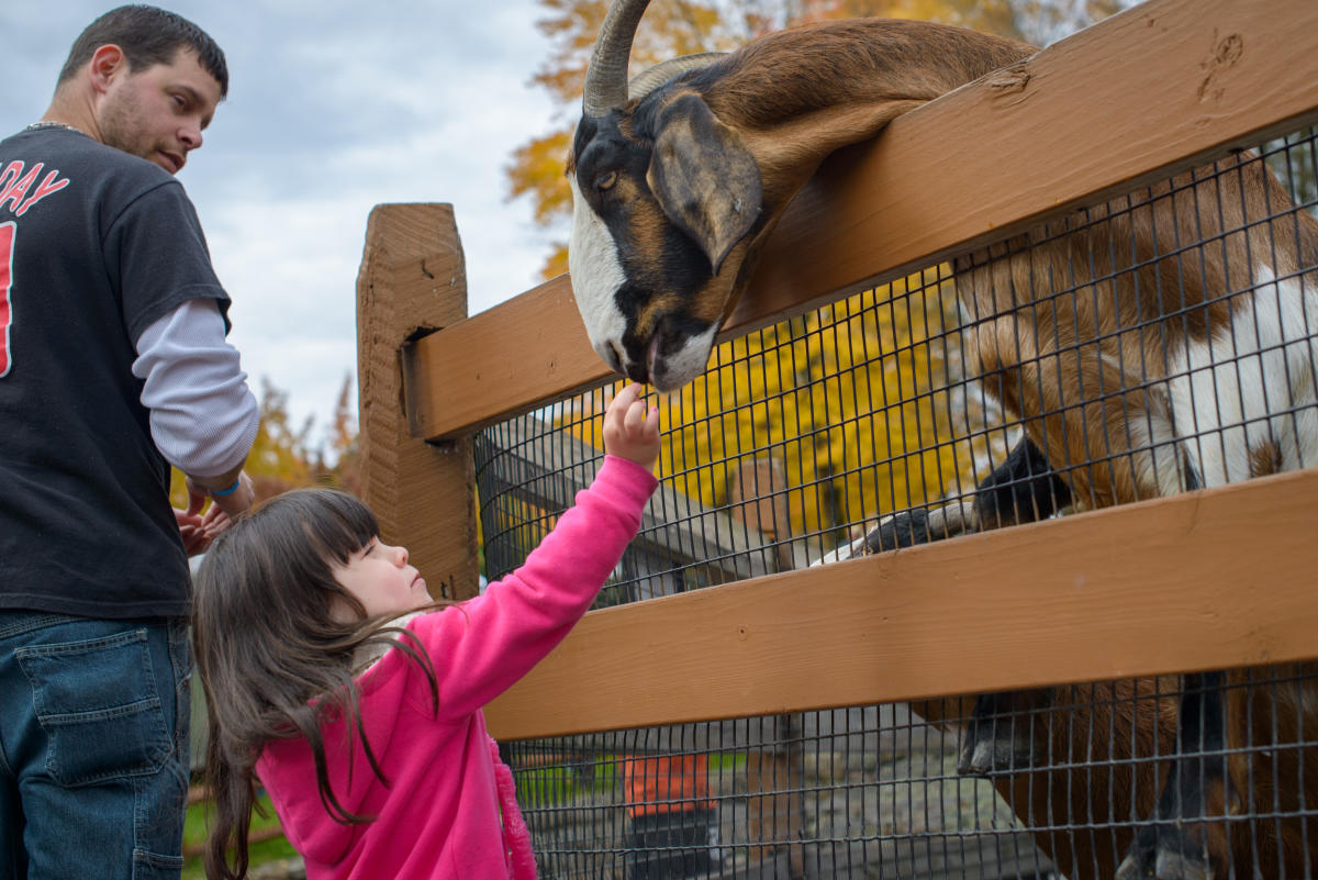 Lehigh Valley Zoo Schnecksville, PA 18078