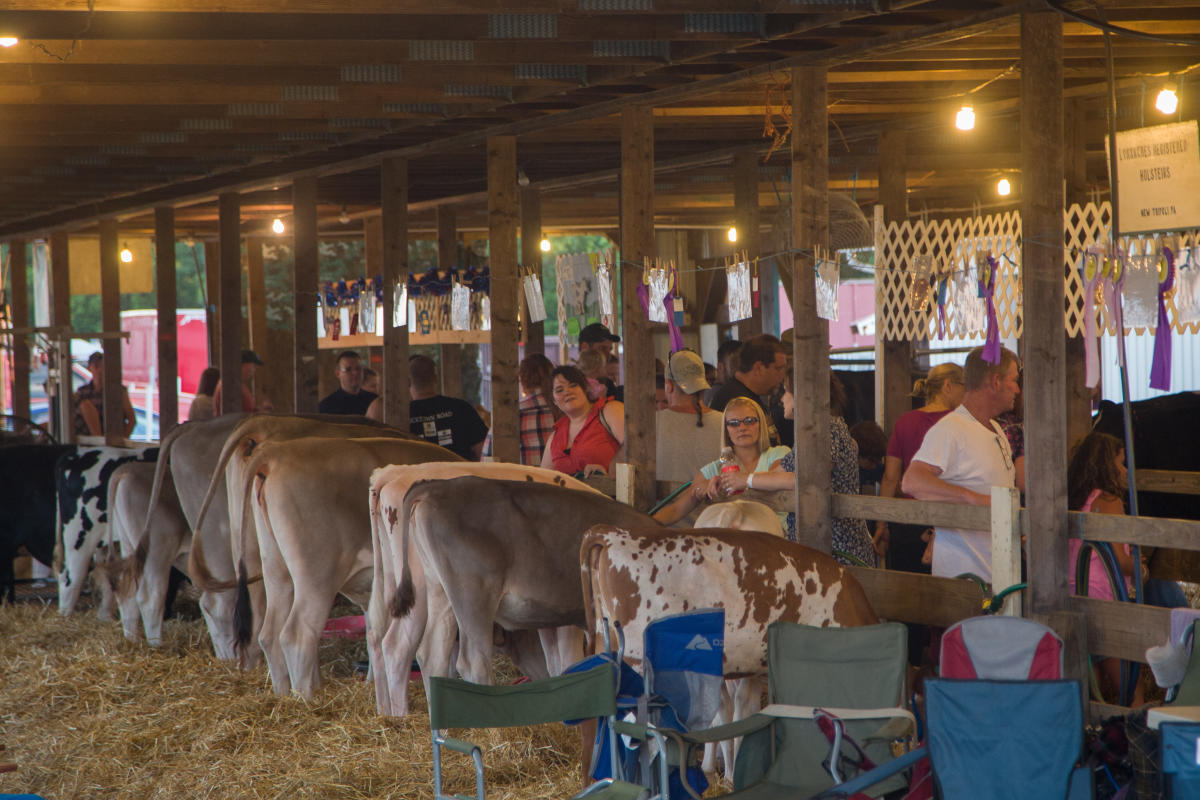 Schnecksville Community Fair