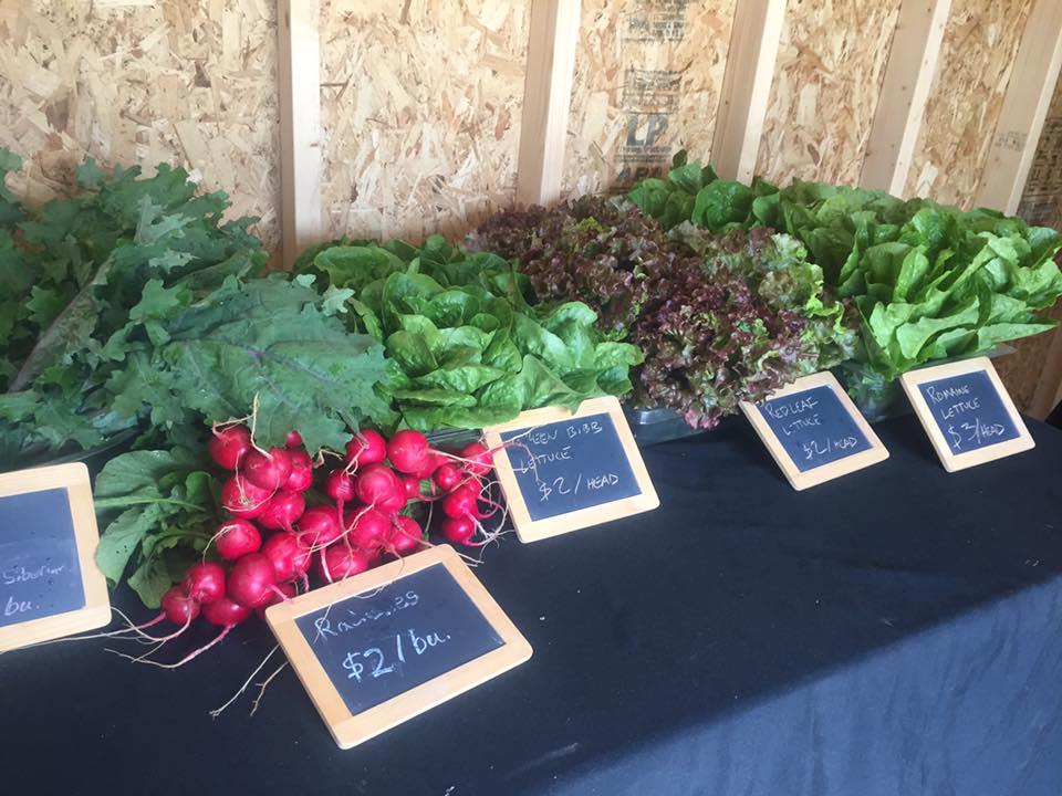 The Seed Farm Emmaus, PA 18049