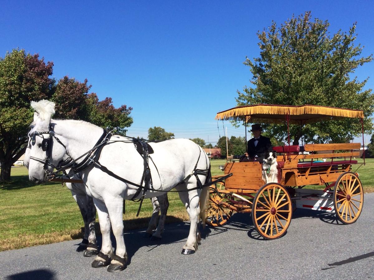 Bethlehem Carriage Company Bethlehem, PA 18018