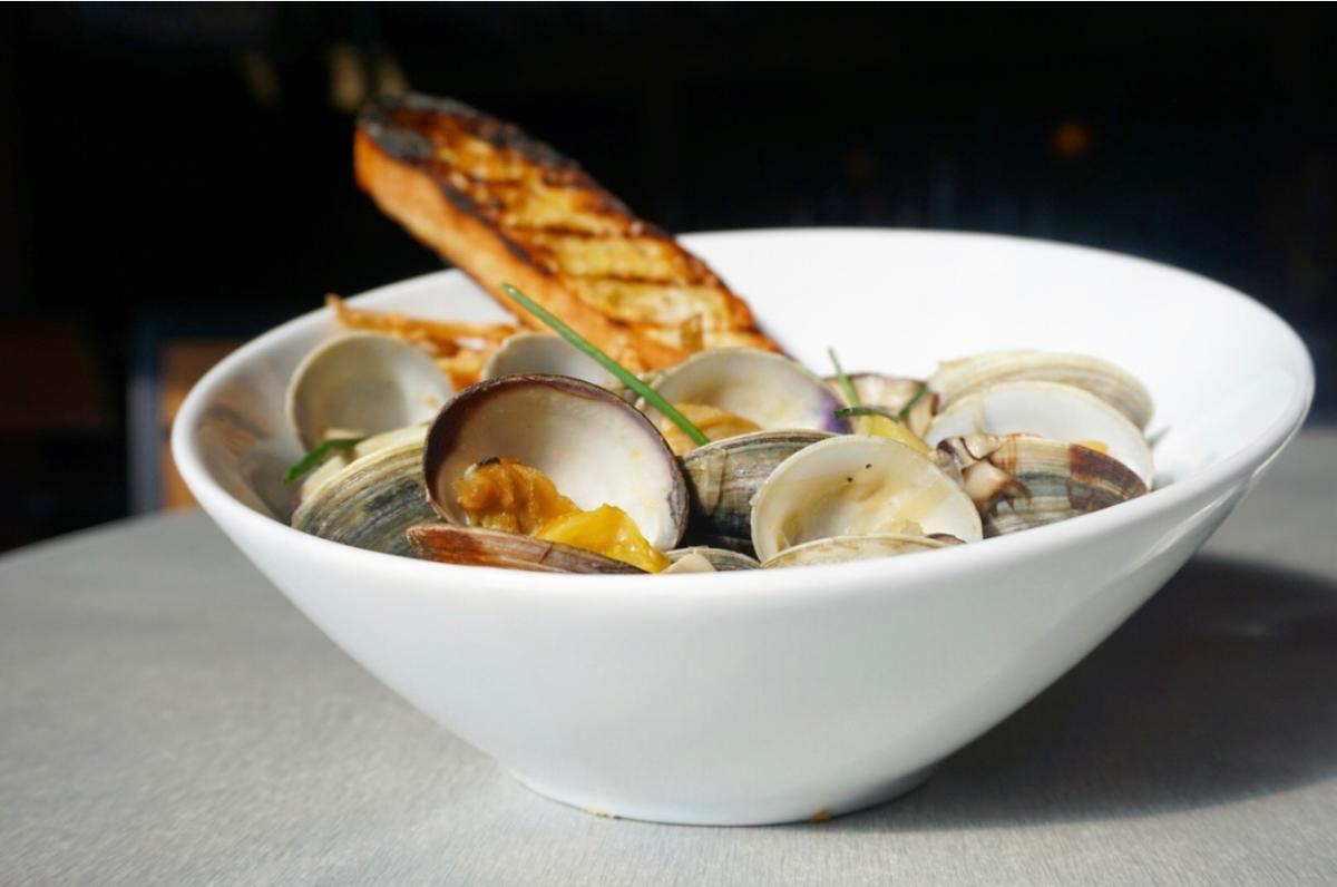 ZEST bar + grille Bethlehem, PA 18015