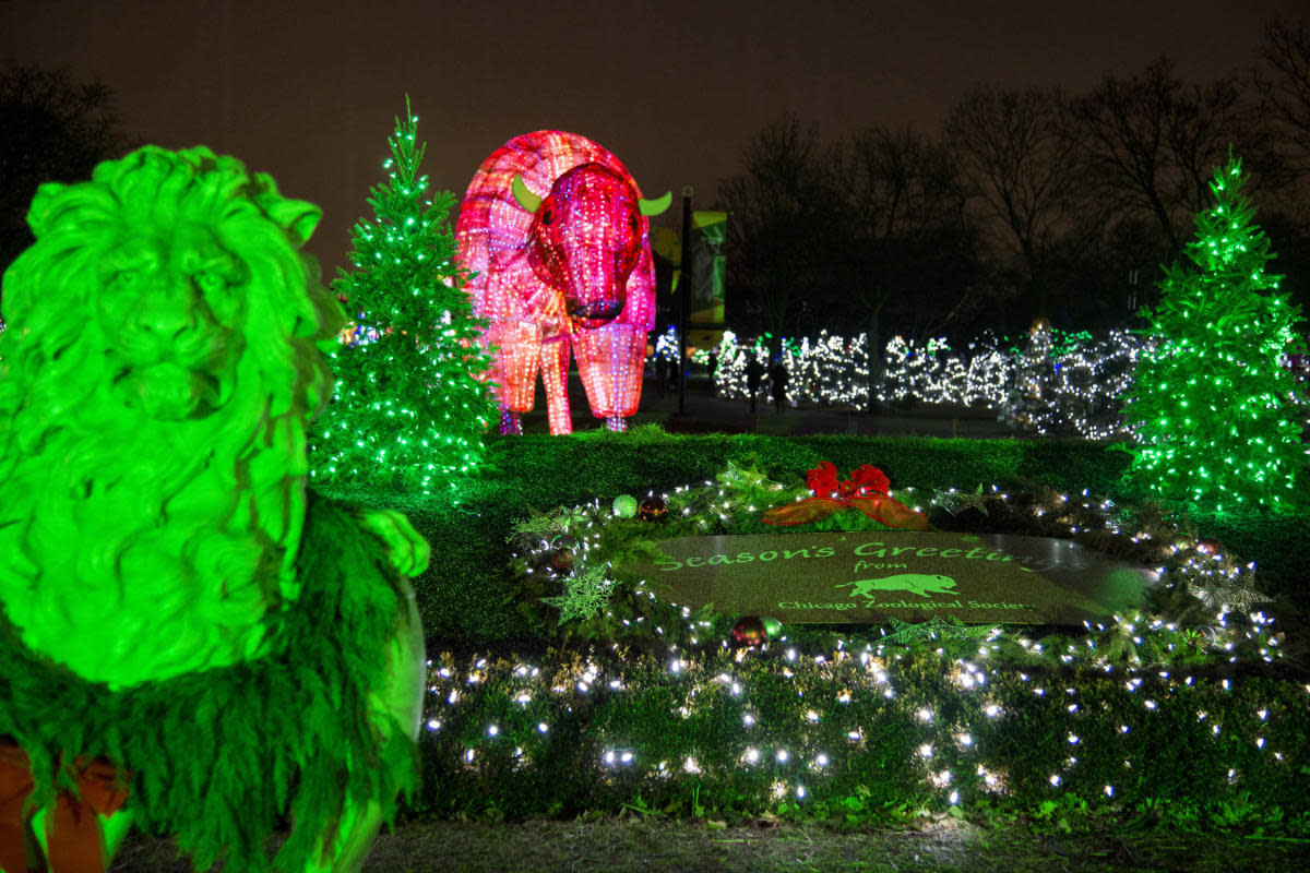 Brookfield Zoo Christmas Lights Hours Shelly Lighting