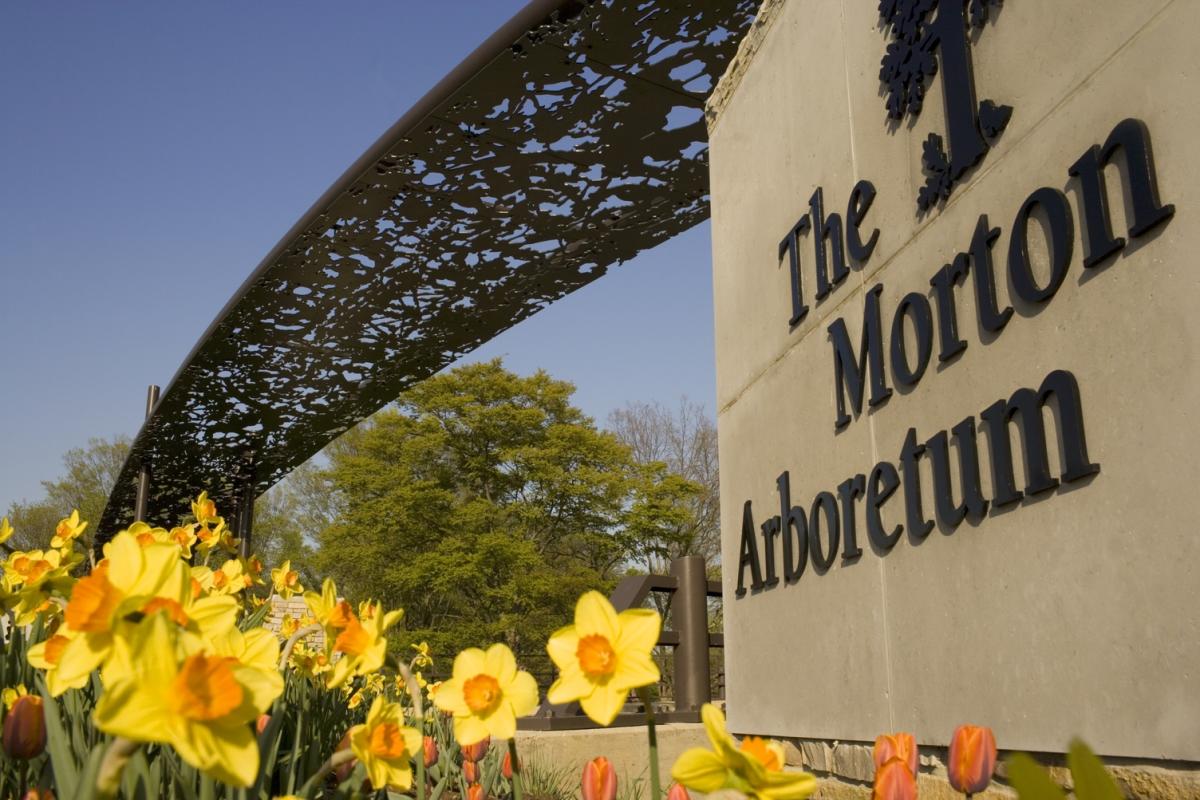 The Morton Arboretum, Downers Grove IL