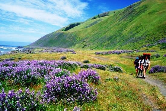 Wallpaper Shelter Cove On The Lost Coast Desktop Wallpaper