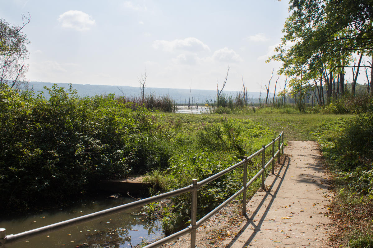 Conesus Inlet Fish and Wildlife Management Area